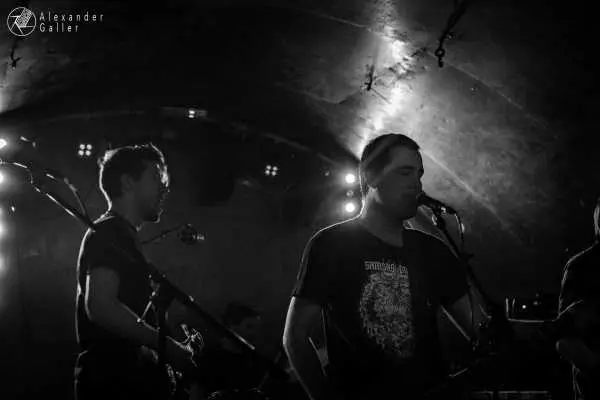 Bild von Fallen Up at Weberknecht - Interview, Reportage, Live