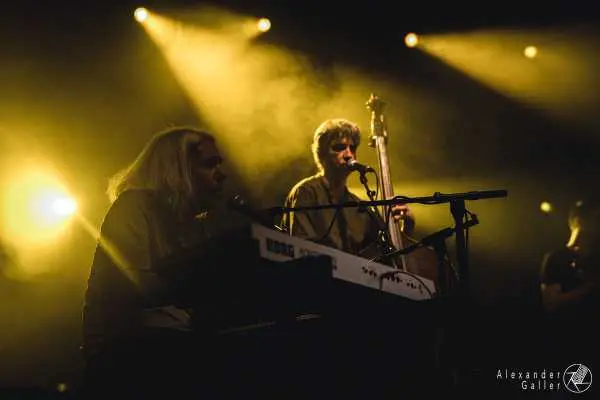 Bild von Fuzzman and The Singin Rebels