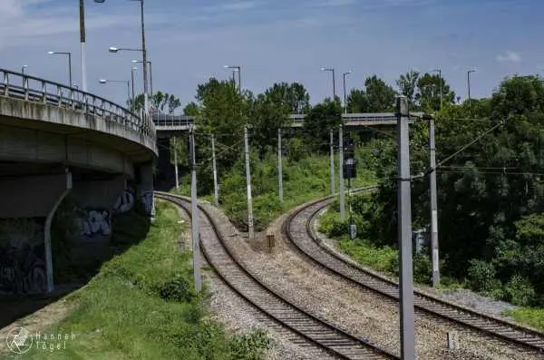 Bild von Wien entdecken VIII