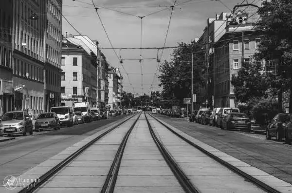 Bild von Wien entdecken VIII