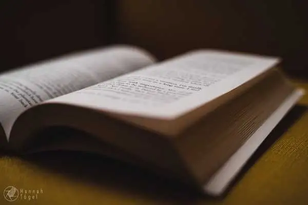 Bild von A blog post a day XIV - Schon gelesen?