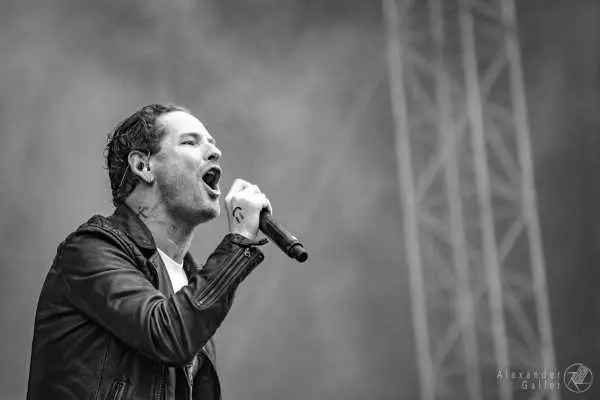Bild von Stone Sour, APS-C  130mm (Vollformat ca. 195mm), "gezwungen" nah