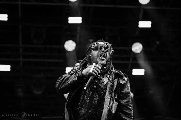 Bild von Skindred