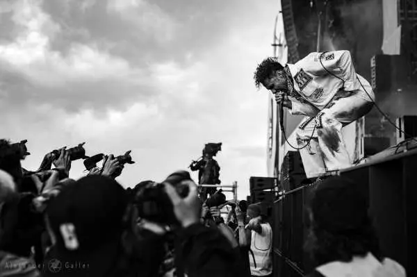 Bild von Fever 333