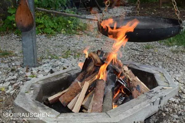 Bild von Back to the Roots