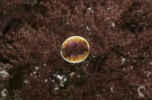 Bild von Seifenblasen mit Dr. Bubbles