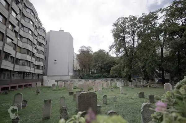 Bild von Wien entdecken II