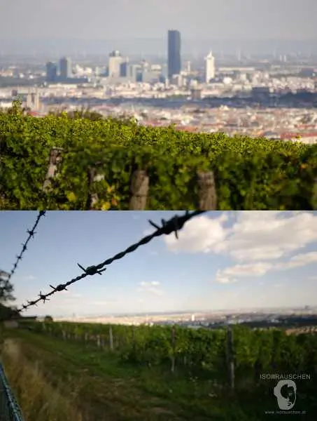 Bild von Wien entdecken III