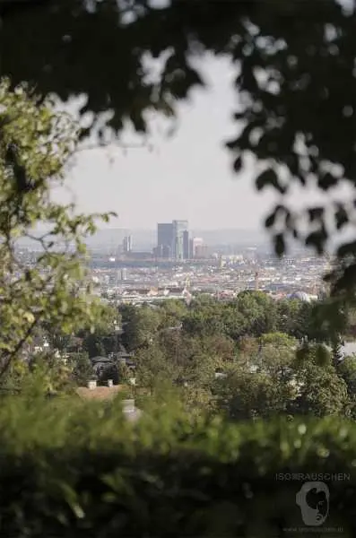 Bild von Wien entdecken III