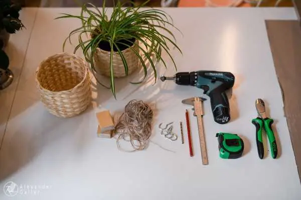 Bild von A blog post a day VII - H&auml;ngende H&auml;ngepflanzen