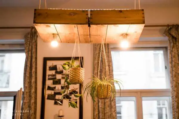 Bild von A blog post a day VII - H&auml;ngende H&auml;ngepflanzen