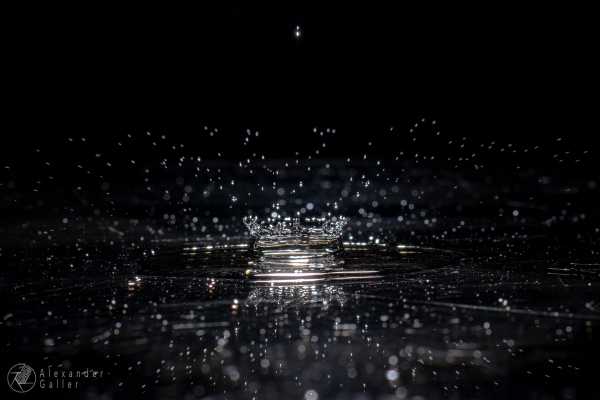 Bild von Auf Glasplatte