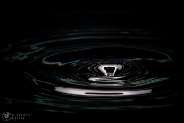 Bild von In Aquarium