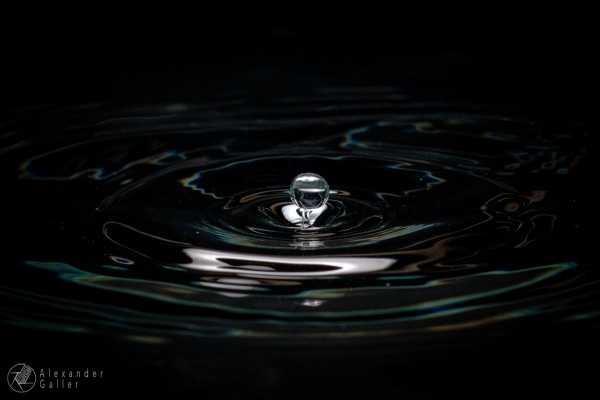 Bild von In Aquarium