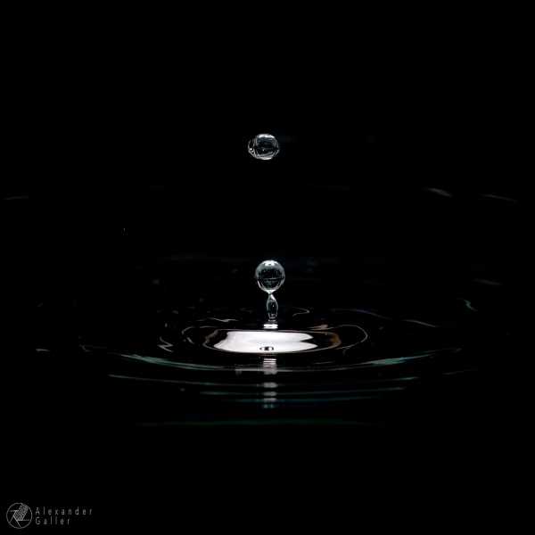 Bild von In Aquarium