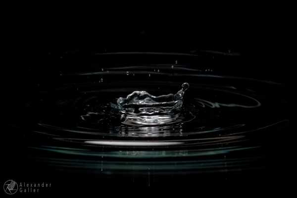 Bild von In Aquarium