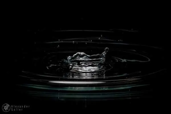 Bild von In Aquarium