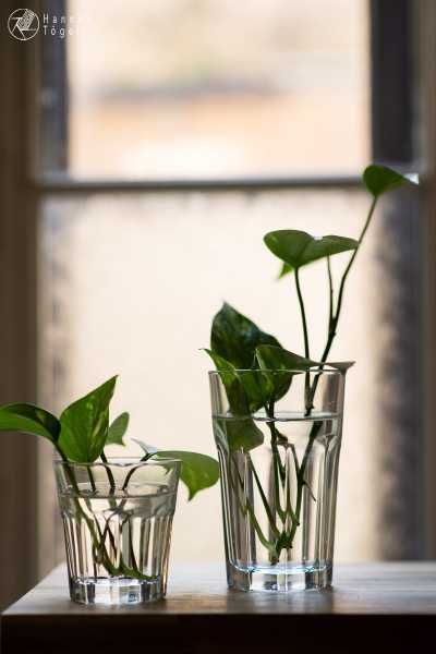 A blog post a day XXIV - Getränkekarton Upcycling Bild von A blog post a day XXIV - Getränkekarton Upcycling