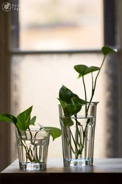 Bild von A blog post a day XXIV - Getr&auml;nkekarton Upcycling