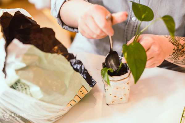 A blog post a day XXIV - Getränkekarton Upcycling Bild von A blog post a day XXIV - Getränkekarton Upcycling