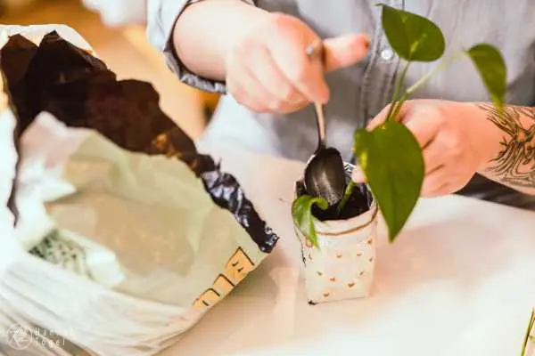 Bild von A blog post a day XXIV - Getr&auml;nkekarton Upcycling