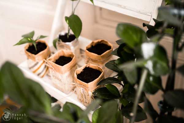 A blog post a day XXIV - Getränkekarton Upcycling Bild von A blog post a day XXIV - Getränkekarton Upcycling