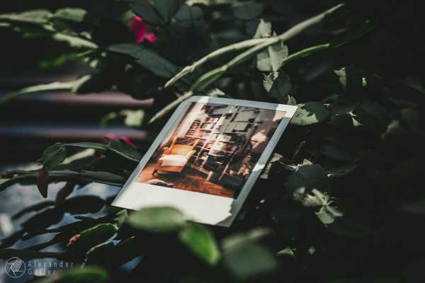 A blog post a day XXV - Letzter täglicher Beitrag Bild von A blog post a day XXV - Letzter täglicher Beitrag