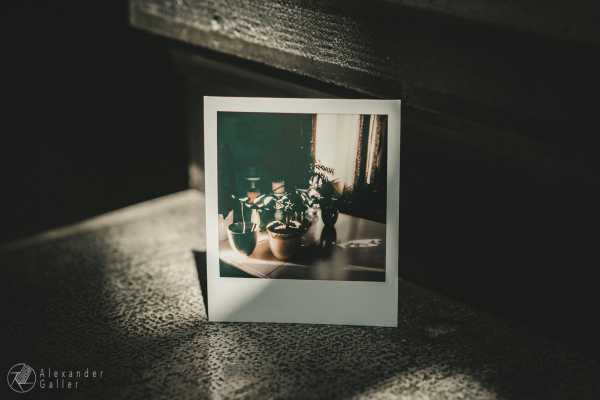 A blog post a day XXV - Letzter täglicher Beitrag Bild von A blog post a day XXV - Letzter täglicher Beitrag