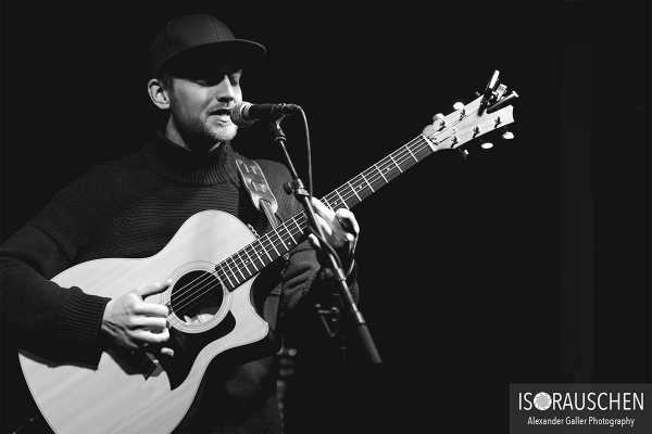 Bild von Passive Elephants