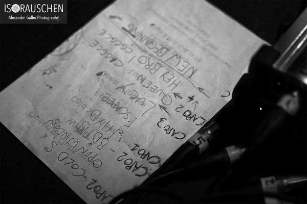 Bild von Passive Elephants