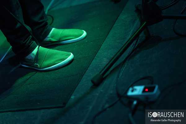 Bild von Passive Elephants