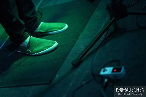 Bild von Passive Elephants