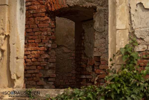 Bild von Altes Gemäuer