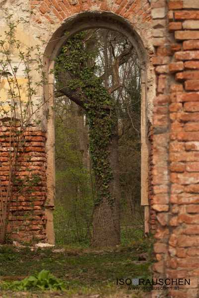 Bild von Altes Gemäuer