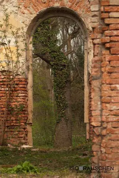 Bild von Altes Gem&auml;uer