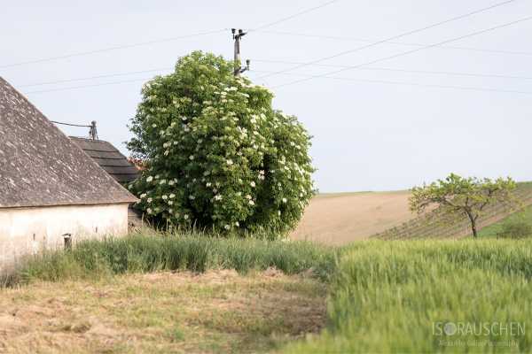 Bild von Amazing Places I