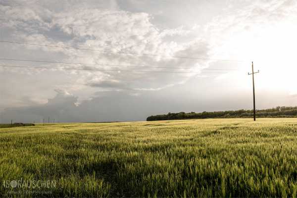 Bild von Amazing Places I