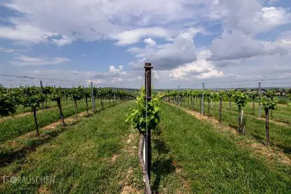 Bild von Amazing Places I