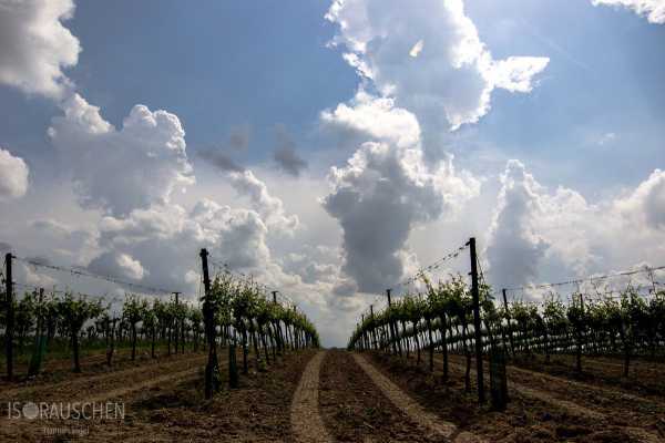 Bild von Amazing Places I