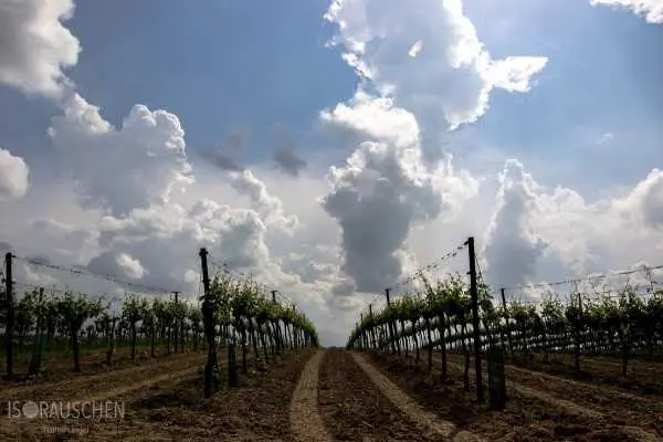 Bild von Amazing Places I