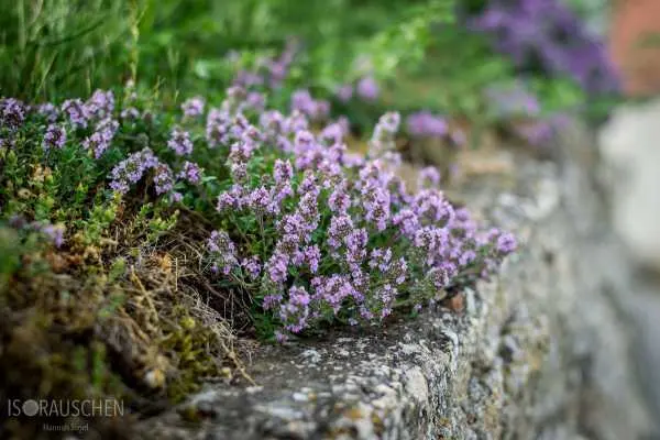 Bild von Amazing Places I