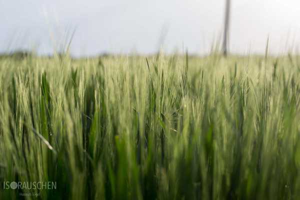 Bild von Amazing Places I