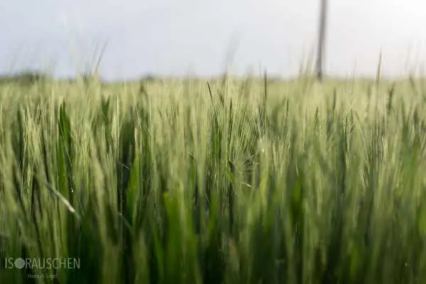 Bild von Amazing Places I