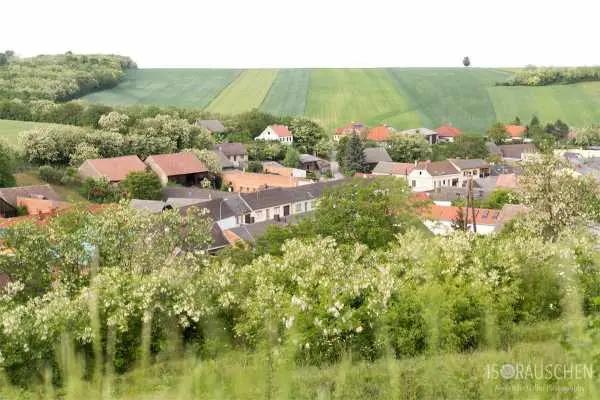 Bild von Amazing Places I