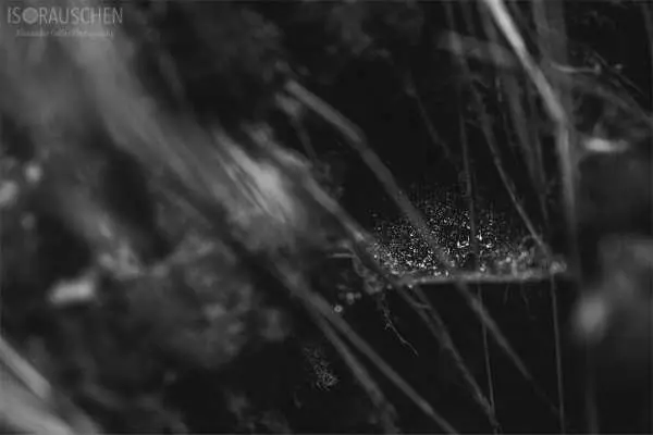 Bild von Amazing Places II