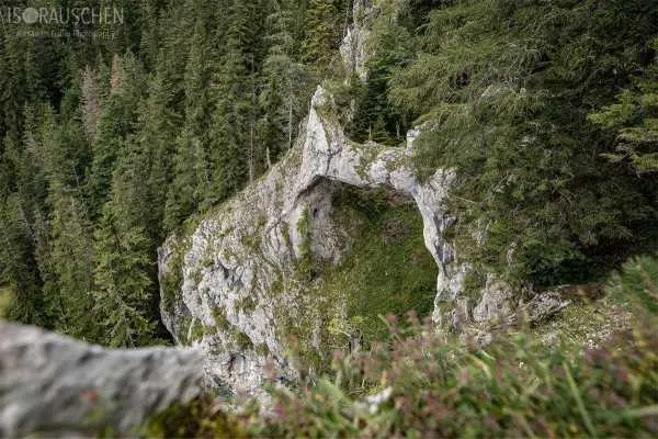 Bild von Amazing Places II