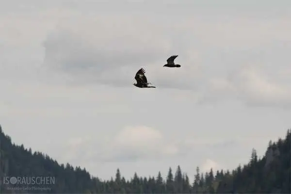 Bild von Amazing Places II