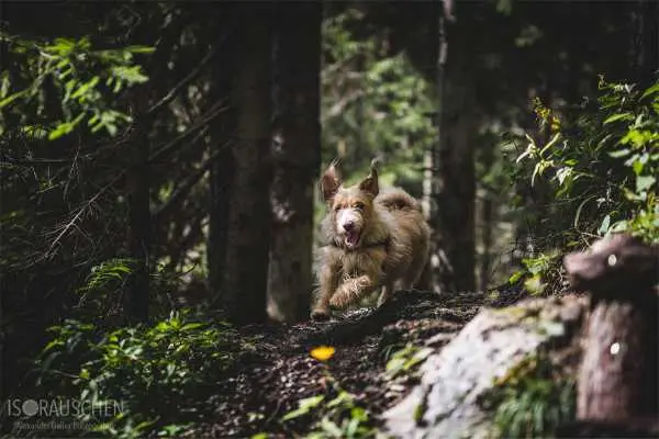 Bild von Amazing Places II