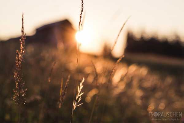 Amazing Places II Bild von Amazing Places II