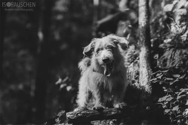 Bild von Amazing Places II